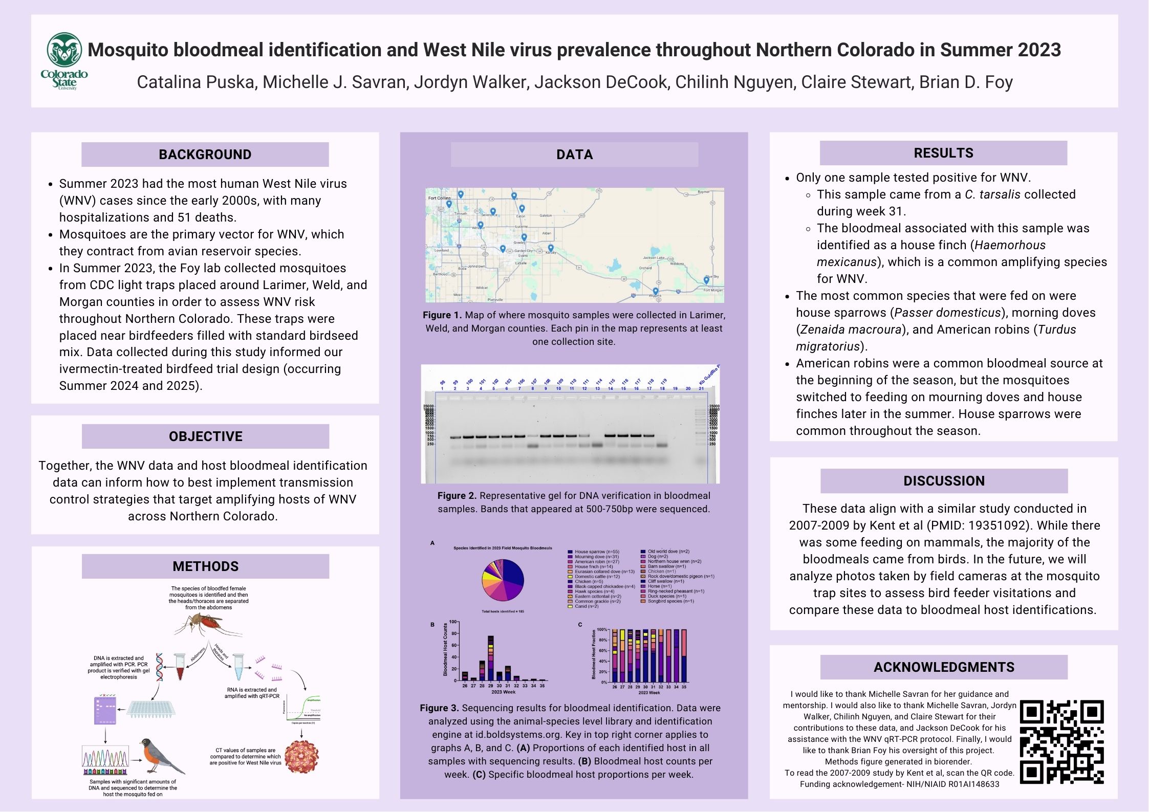 Mosquito bloodmeal identification and West Nile virus prevalence throughout Northern Colorado in Summer 2023