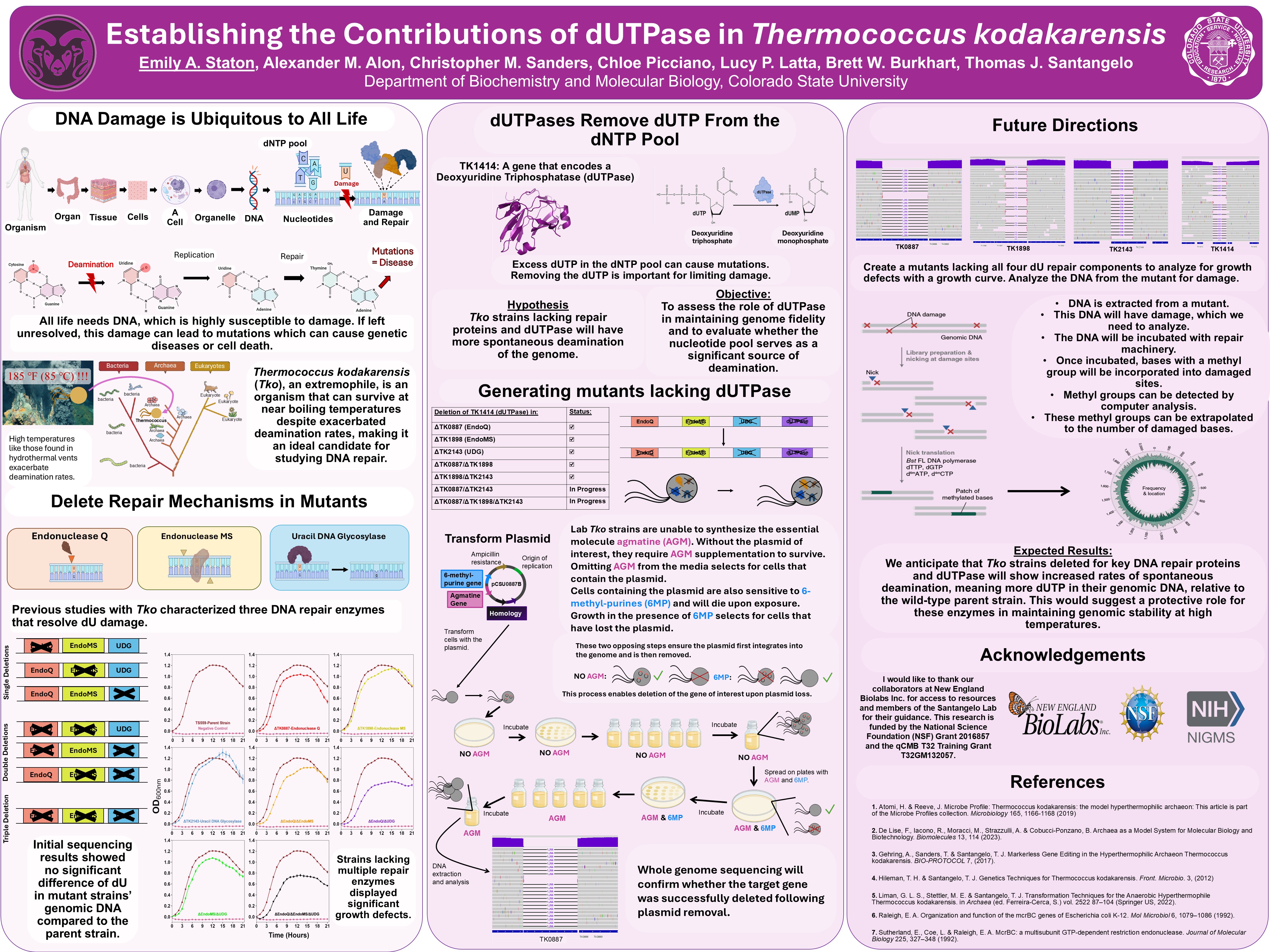 Establishing the Contributions of dUTPase in Thermococcus Kodakarensis
