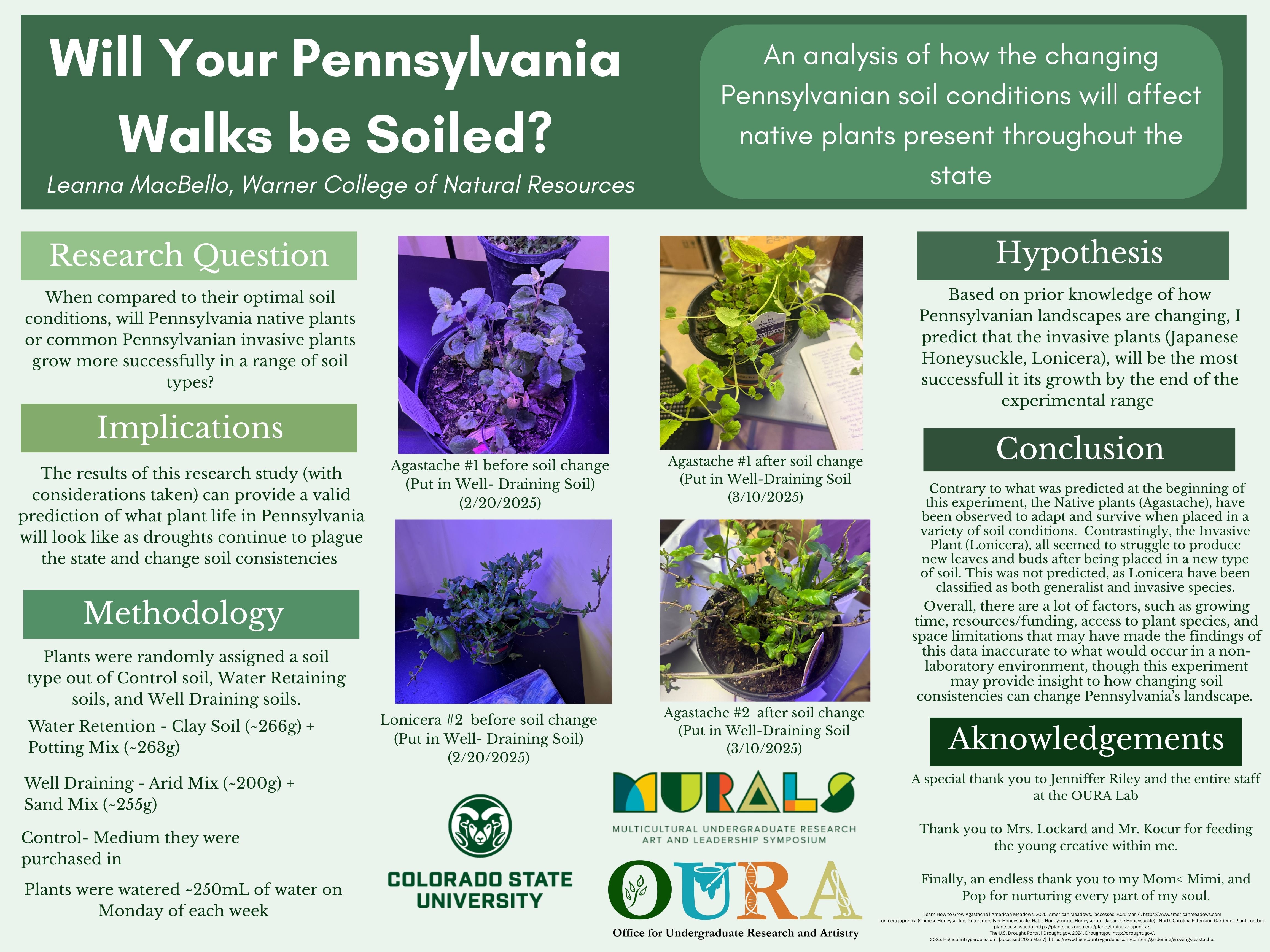 Will Your Pennsylvania Walks Be Soiled? An analysis of how the changing Pennsylvanian soil conditions will affect native plants present throughout the state