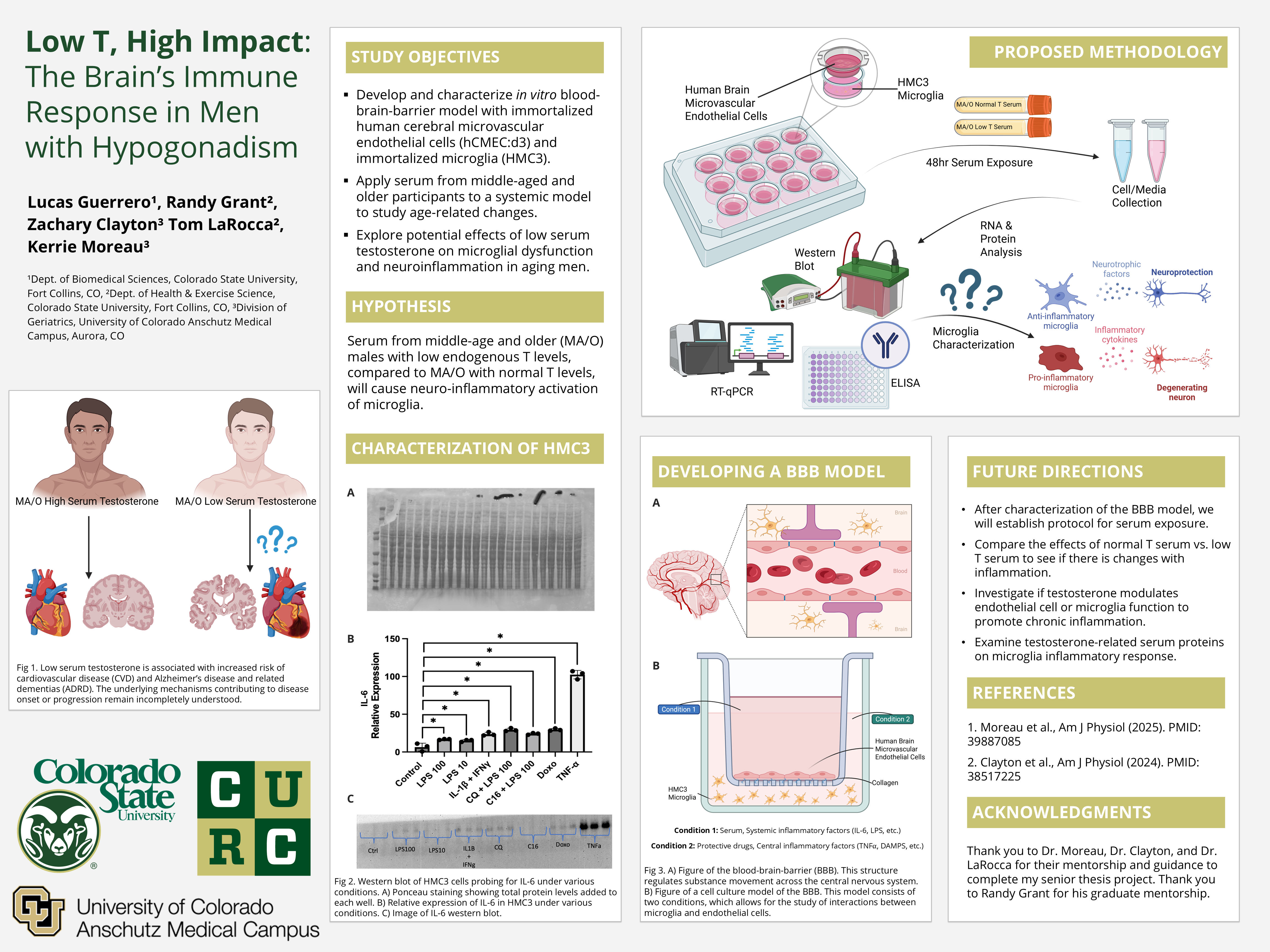 Discovering the circulating milieu in microglia of men with hypogonadism