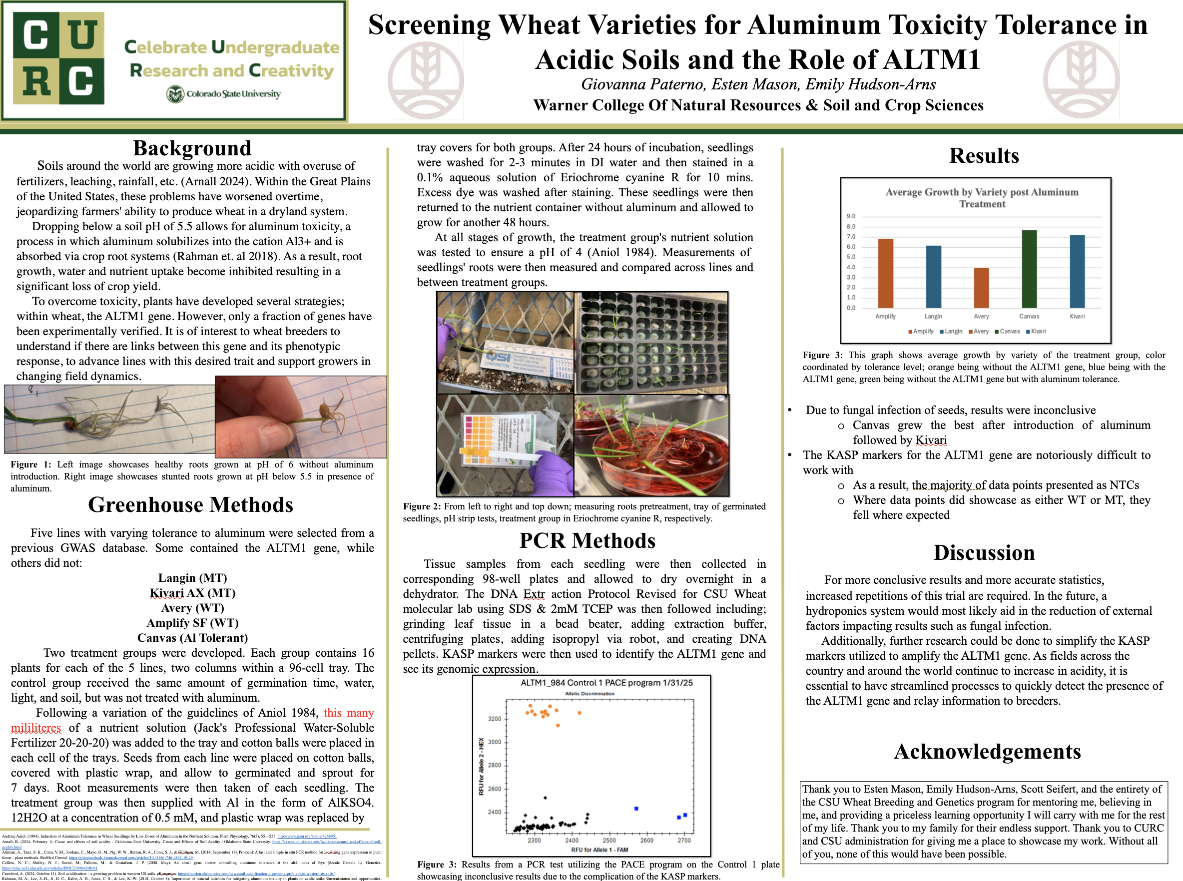 Screening Wheat Varieties for Aluminum Toxicity Tolerance in Acidic Soils and the Role of ALTM1 