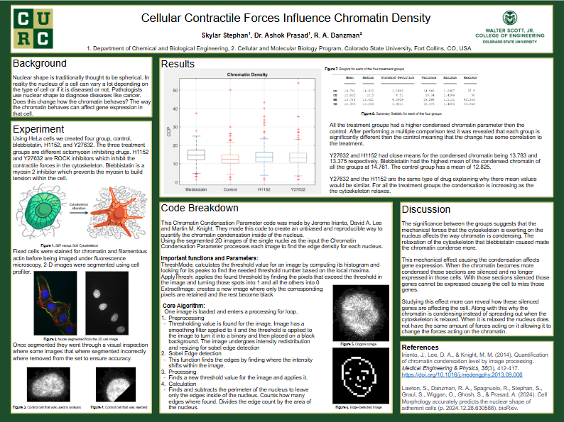 Cellular Contractile Forces Influence Chromatin Density