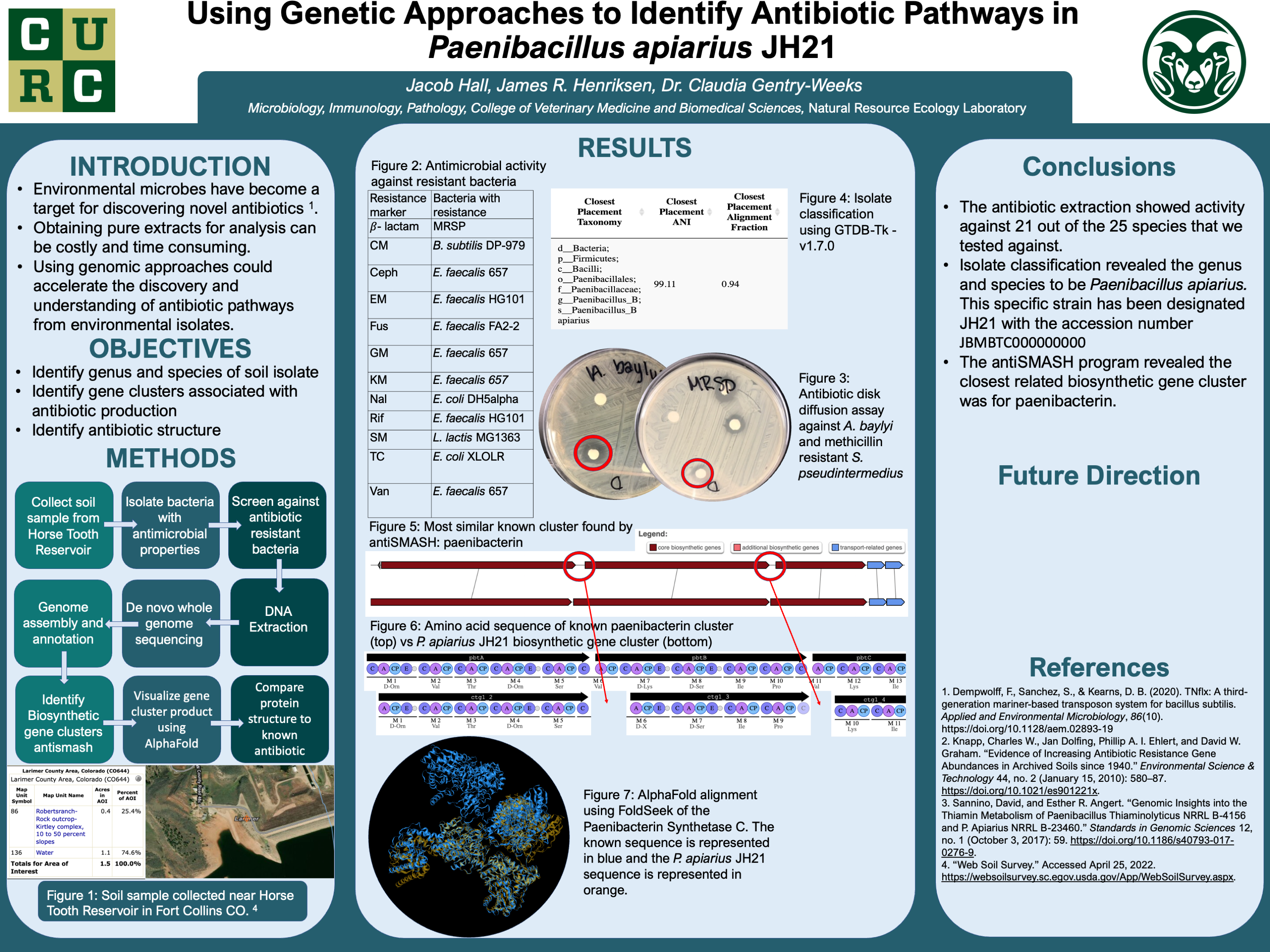 Using Genetic Approaches to Identify Antibiotic Pathways in Paenibacillus apiarius JH21