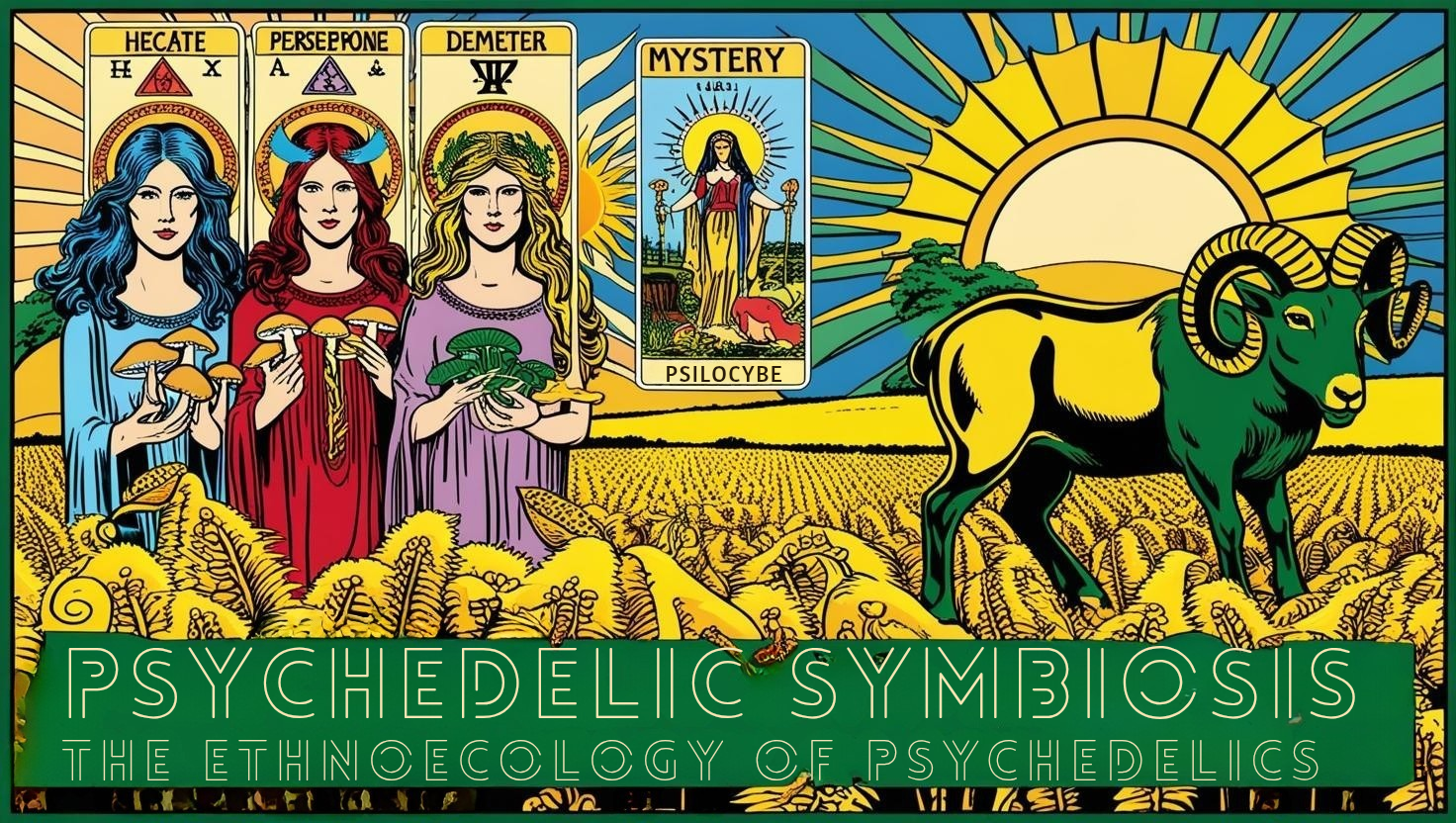 Psychedelic Symbiosis