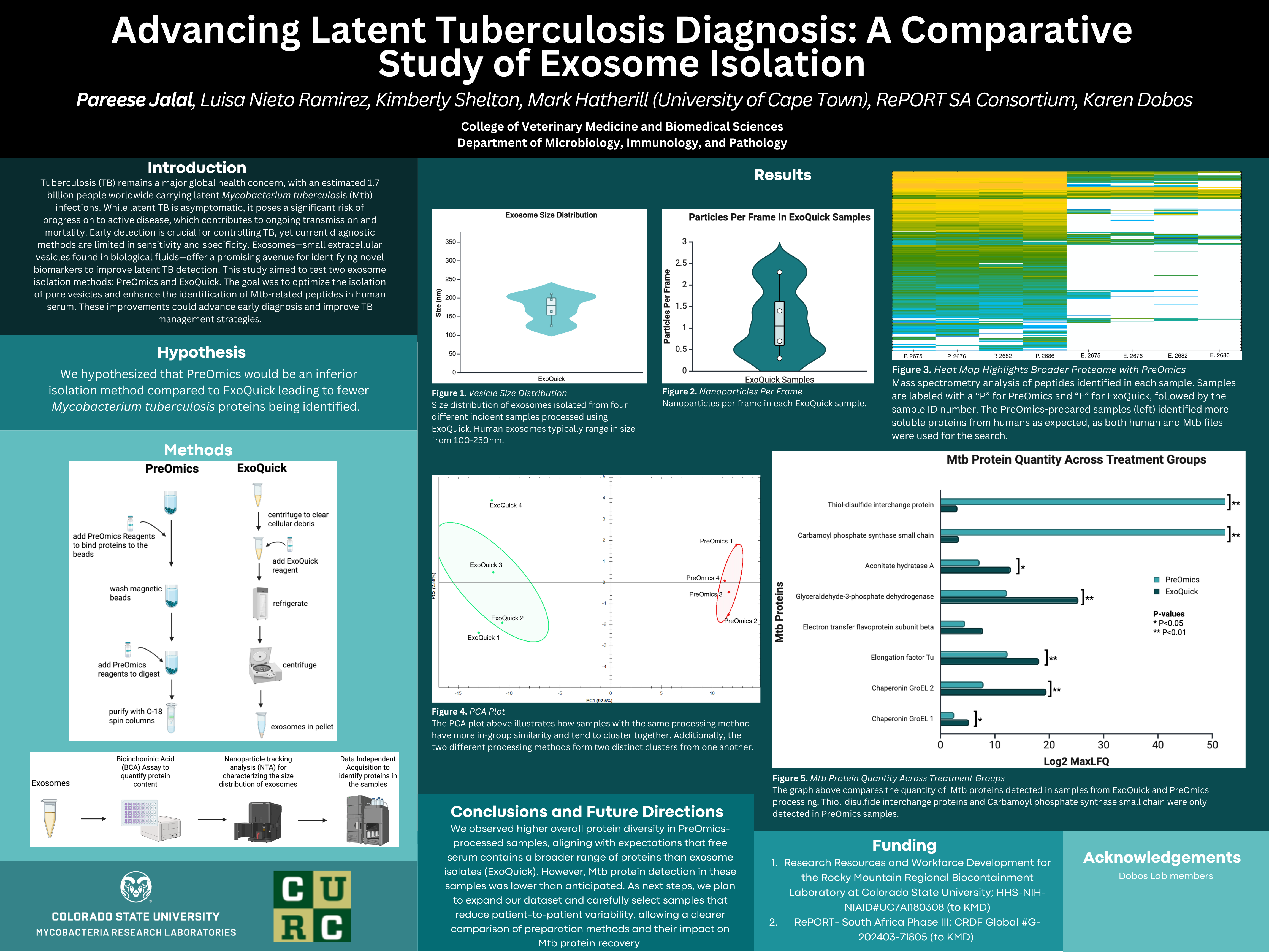 Advancing Latent Tuberculosis Diagnosis: A Comparative Study of Exosome Enrichment Strategies