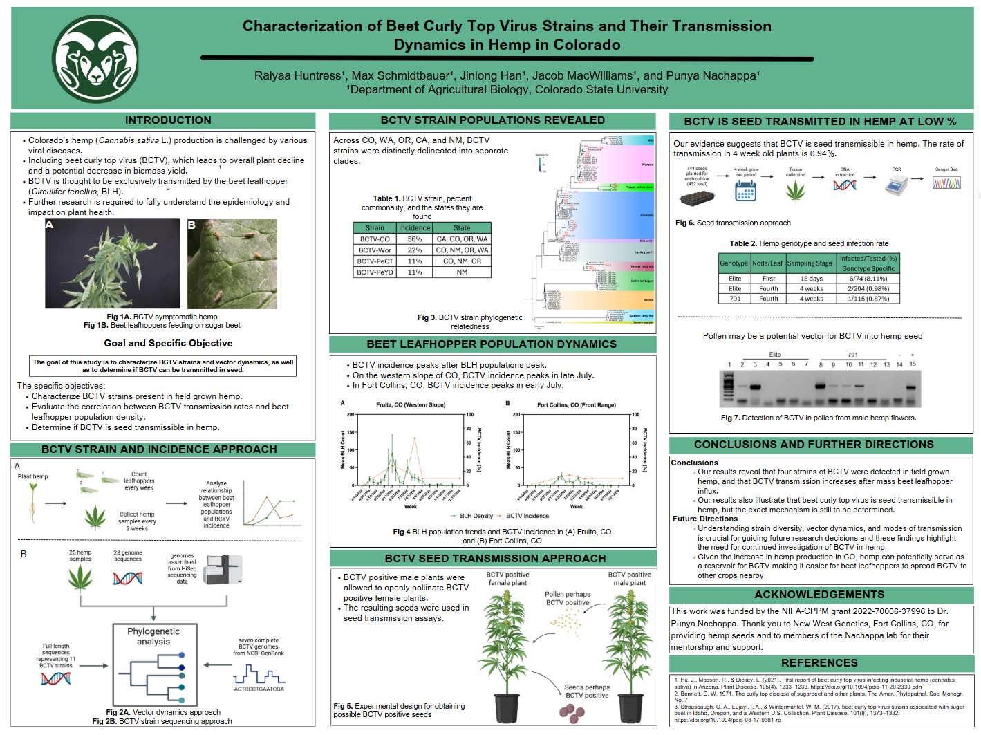 Characterization of Beet Curly Top Virus Strains and Their Transmission Dynamics in Hemp in Colorado