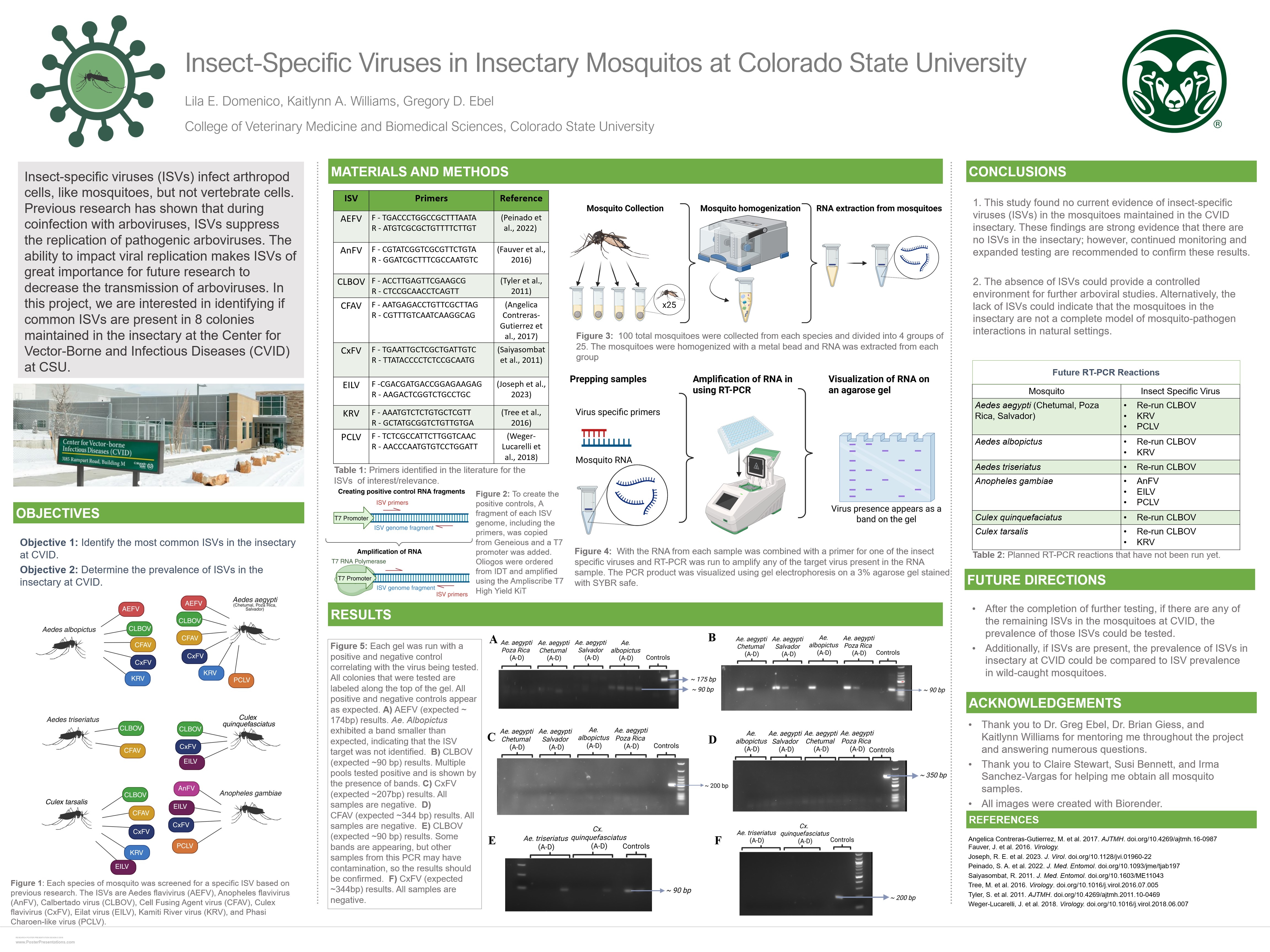 Insect-Specific Virus Presence in Mosquitos at the Center for Vector-Borne and Infectious Diseases at CSU