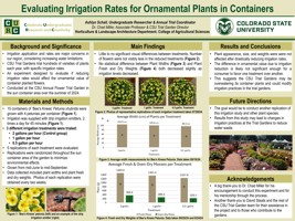 Evaluating Irrigation Rates for Ornamental Plants in Containers