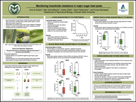 Monitoring insecticide resistance in major sugar beet pests