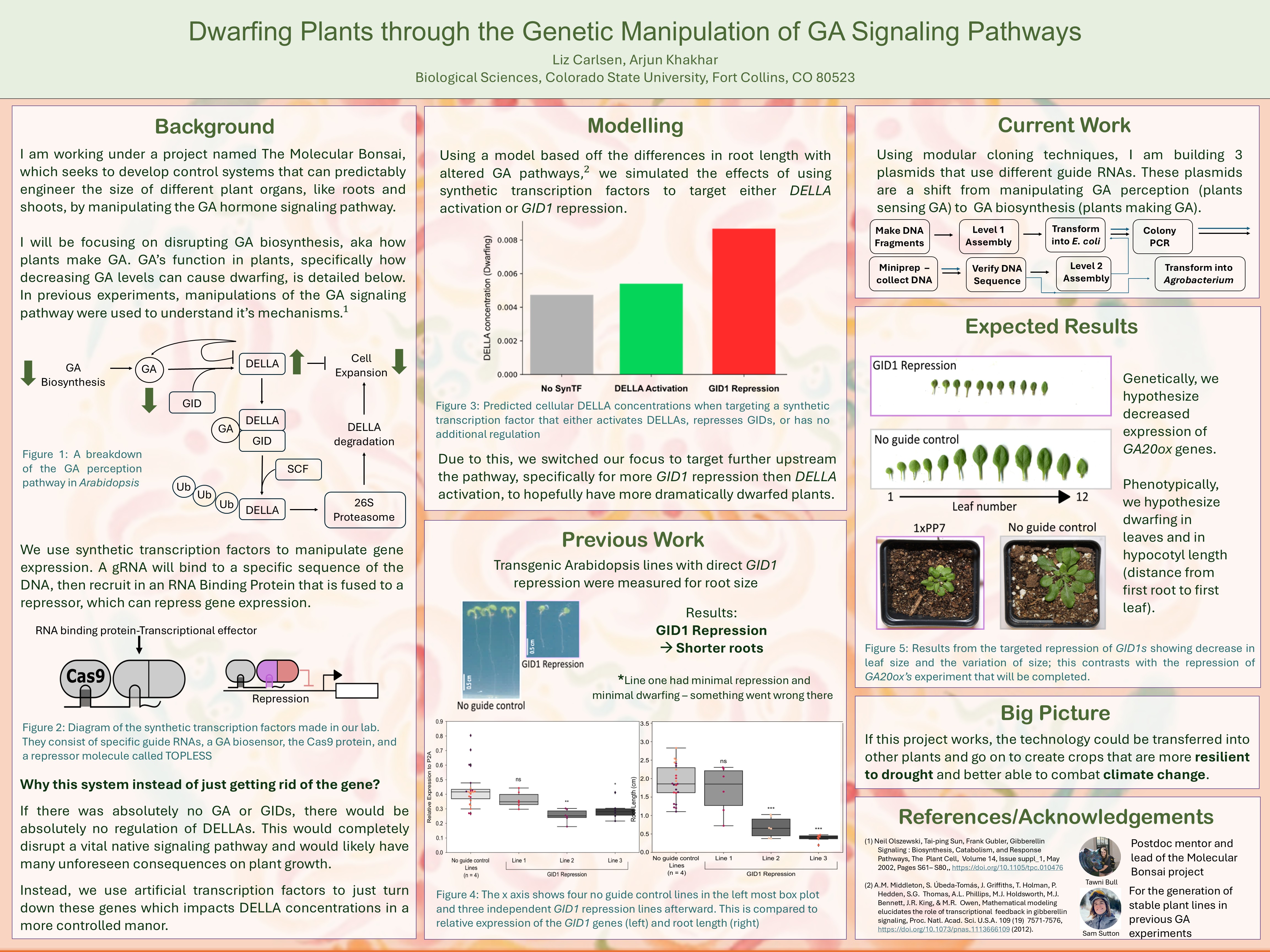 Dwarfing Plants through the Genetic Manipulation of GA Signaling Pathways
