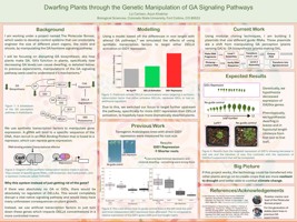 Dwarfing Plants through the Genetic Manipulation of GA Signaling Pathways