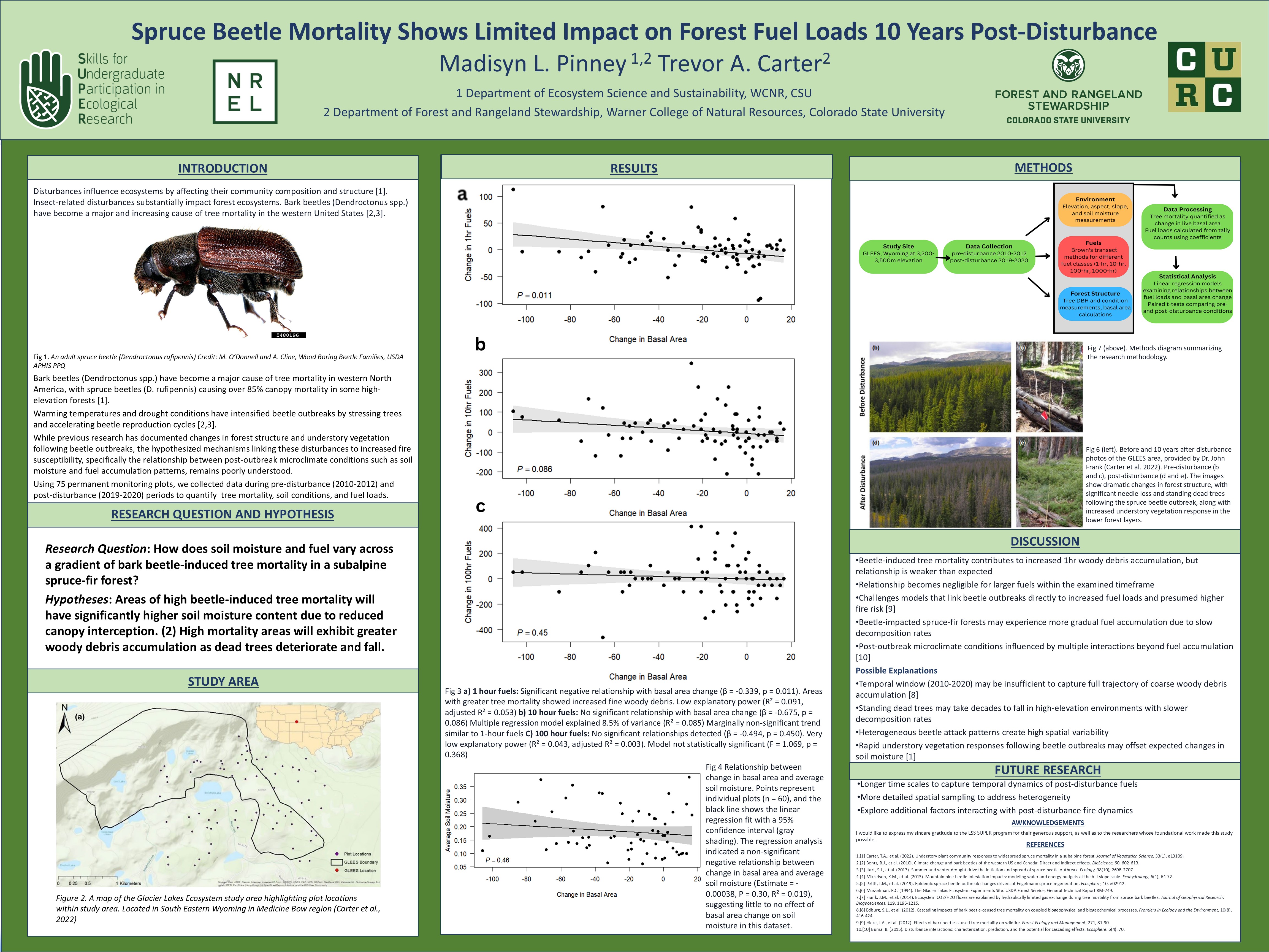 Spruce Beetle Mortality Shows Limited Impact on Forest Fuel Loads