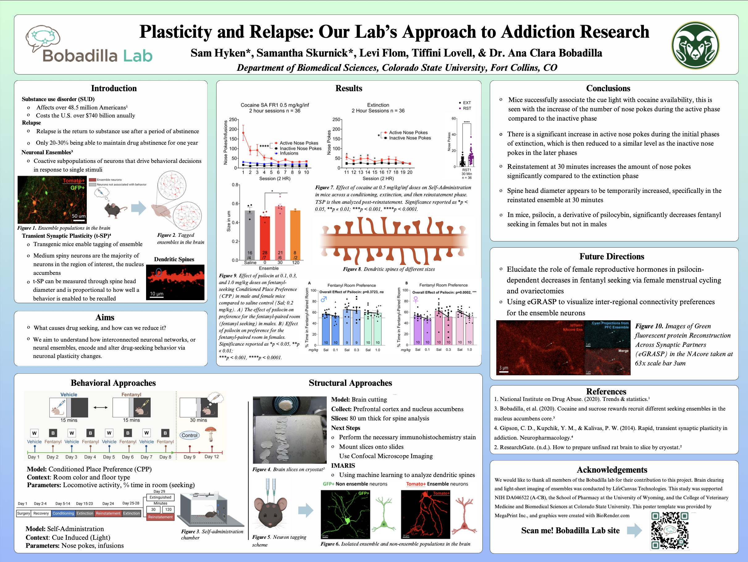 Plasticity and Relapse: Our labs Approach to Addiction Research