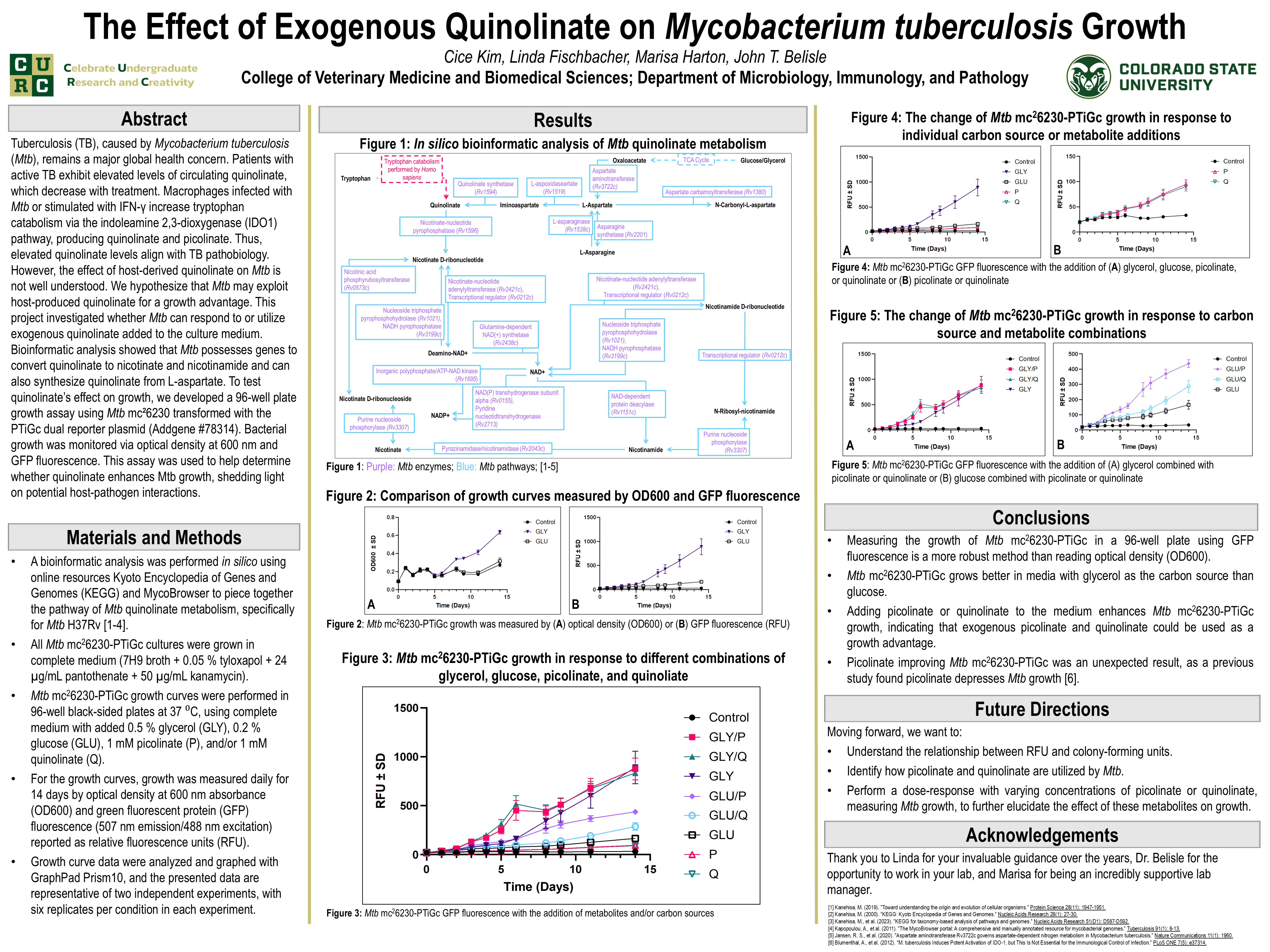 The Effect of Exogenous Quinolinate on Mycobacterium tuberculosis Growth