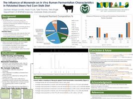 The Influence of Monensin on In Vivo Rumen Fermentation Characteristics in Fistulated Steers Fed Corn Stalk Diet