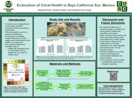 Evaluation of Coral Health in Baja California Sur, Mexico
