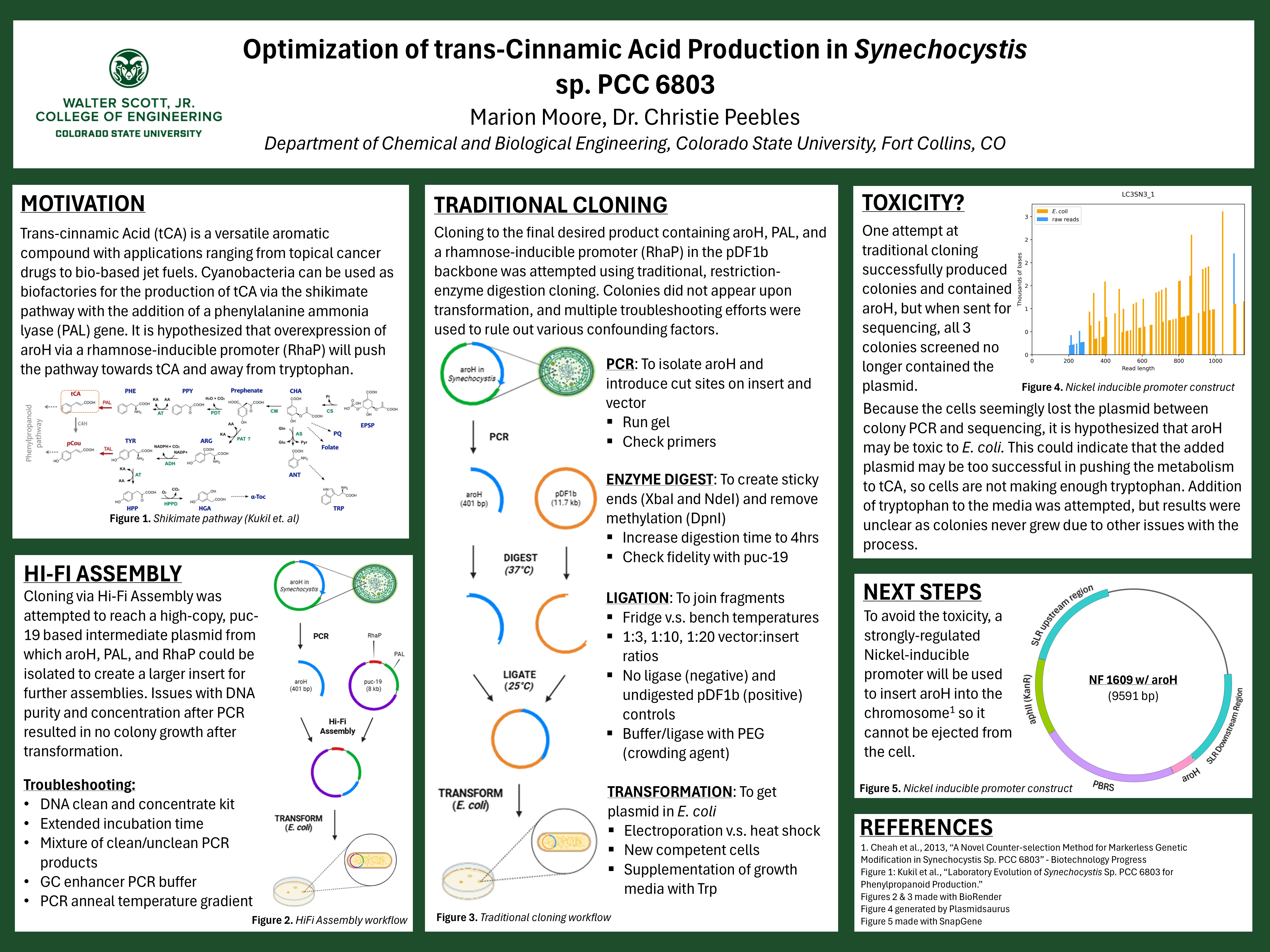 Optimization of trans-Cinnamic Acid Production in Cyanobacteria sp. PCC 6803
