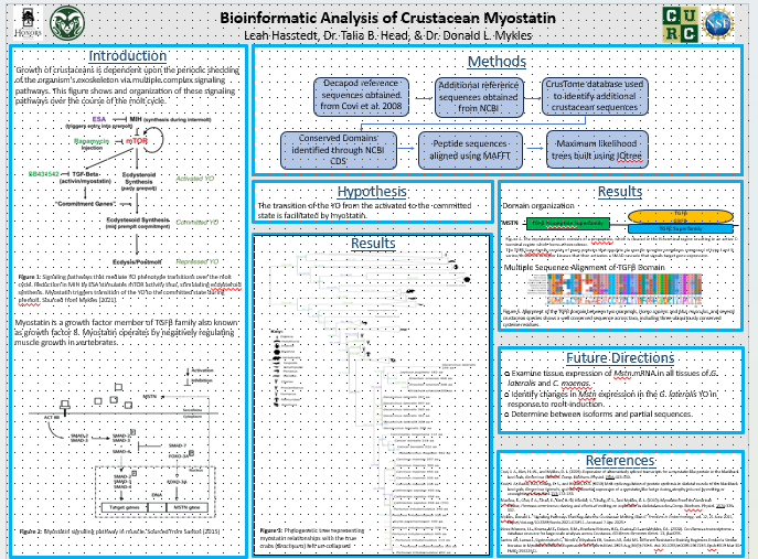 Bioinformatic Analysis of Crustacean Myostatin