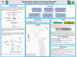 Bioinformatic Analysis of Crustacean Myostatin