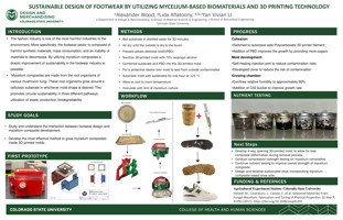 SUSTAINABLE DESIGN OF FOOTWEAR BY UTILIZING MYCELIUM BASED BIOMATERIALS AND 3D PRINTING TECHNOLOGY