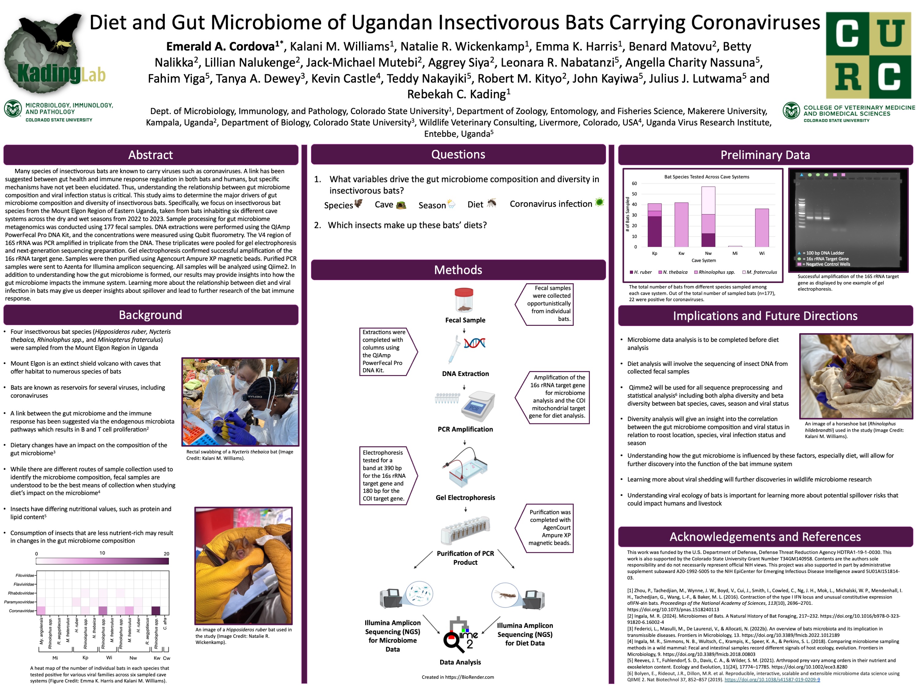 Diet and Gut Microbiome of Ugandan Insectivorous Bats Carrying Coronaviruses 