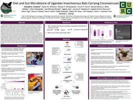 Diet and Gut Microbiome of Ugandan Insectivorous Bats Carrying Coronaviruses 