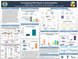 Investigating DNA Repair in Extremophiles